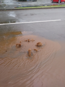 Donnington Flood Alleviation