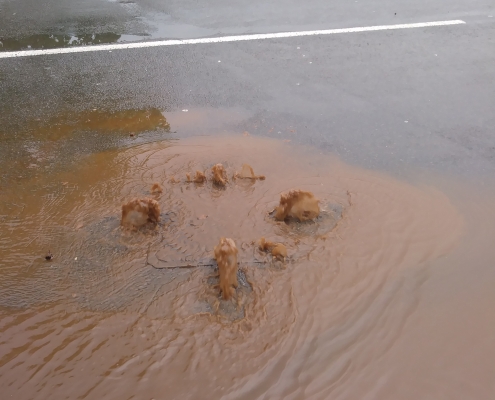 Donnington Flood Alleviation